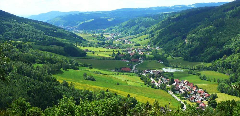 Appartamento Schwarzwaldhaus Elzach Esterno foto